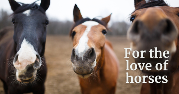 How Breyer Horses Led to 15 Years of Cowboy Romance