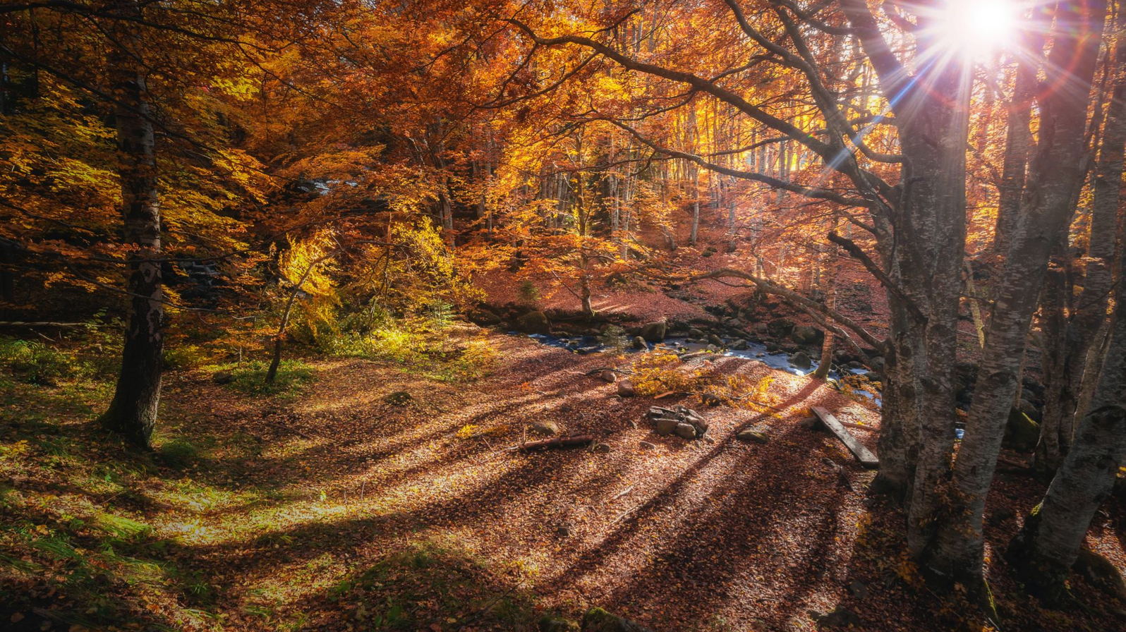 Embracing uncertainty and fear