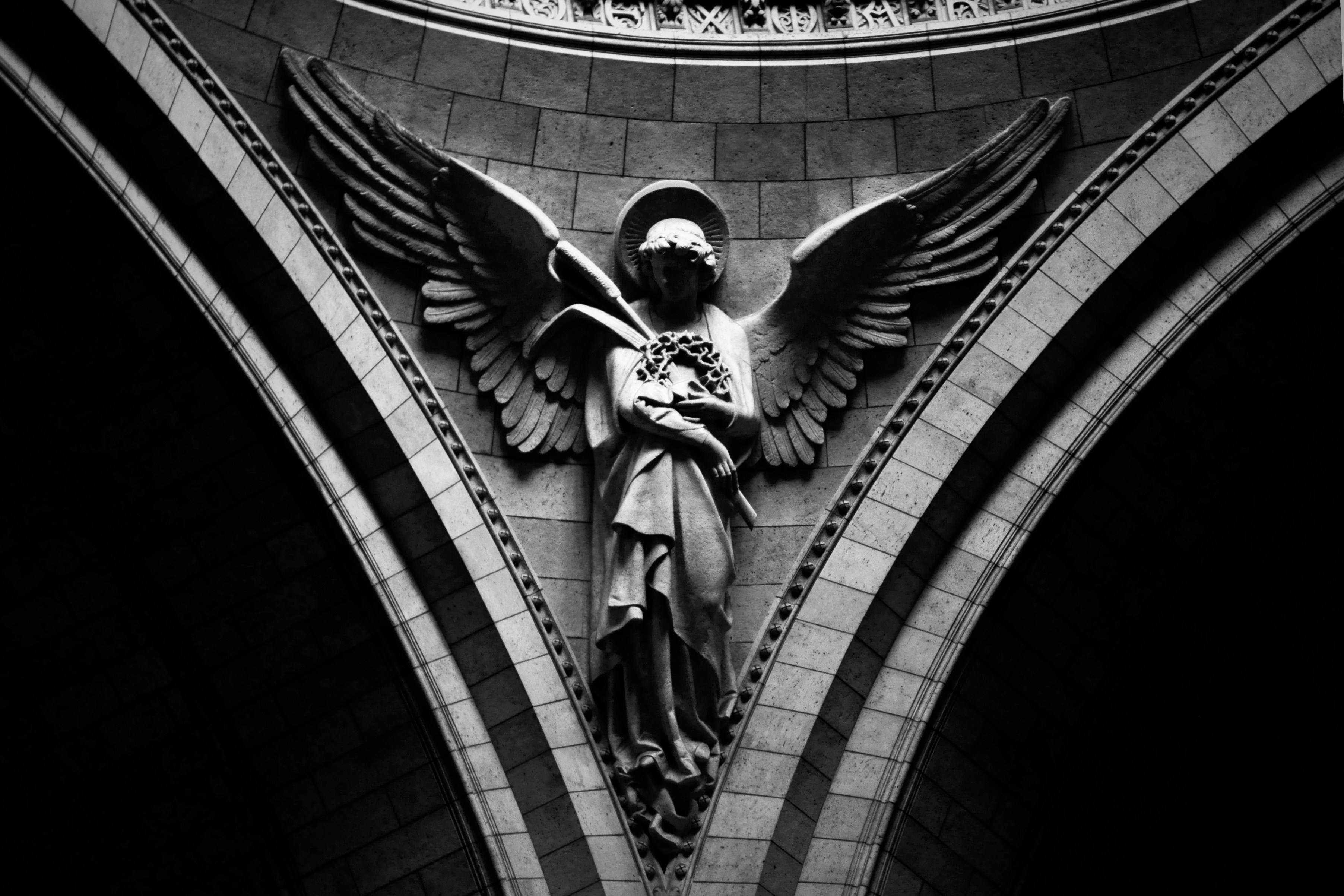 Seraphim Dispatches by WD Campbell
