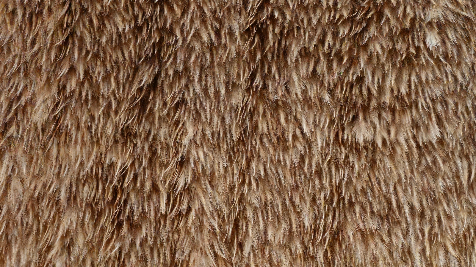 A Kākahu To Be Worn