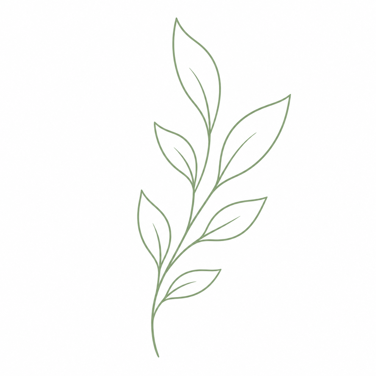 Week 5 Icon