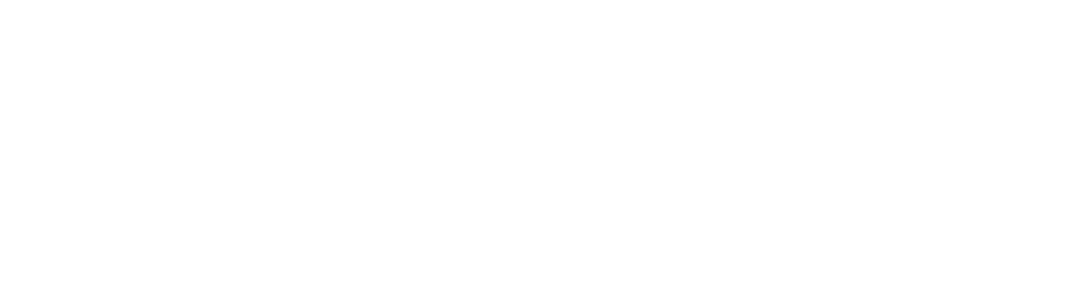 logo naranja media