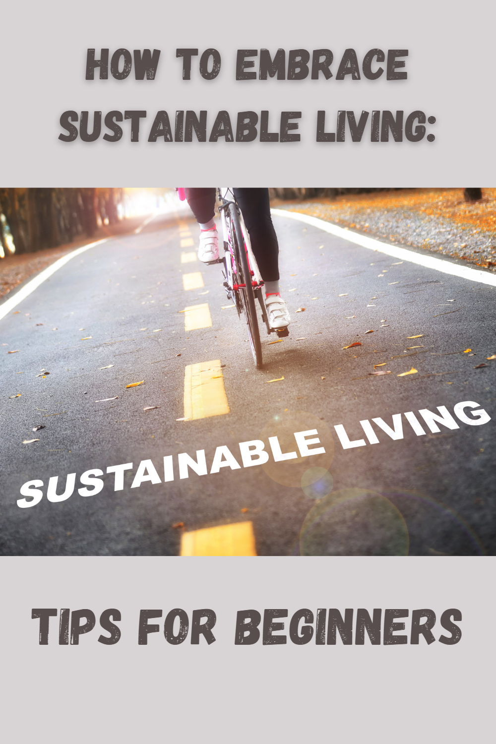 How to Embrace Sustainable Living: Tips for Beginners