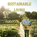 The Ultimate Guide to Sustainable Living: Tips and Ideas