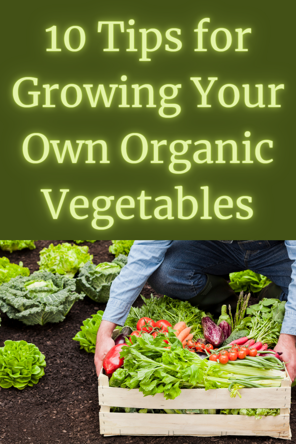 10 Tips for Growing Your Own Organic Vegetables