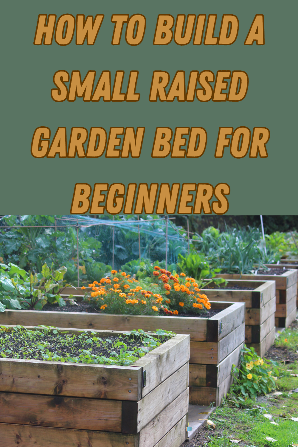 How to Build a Small Raised Garden Bed for Beginners: Step-by-Step Guide with Tips and Tricks