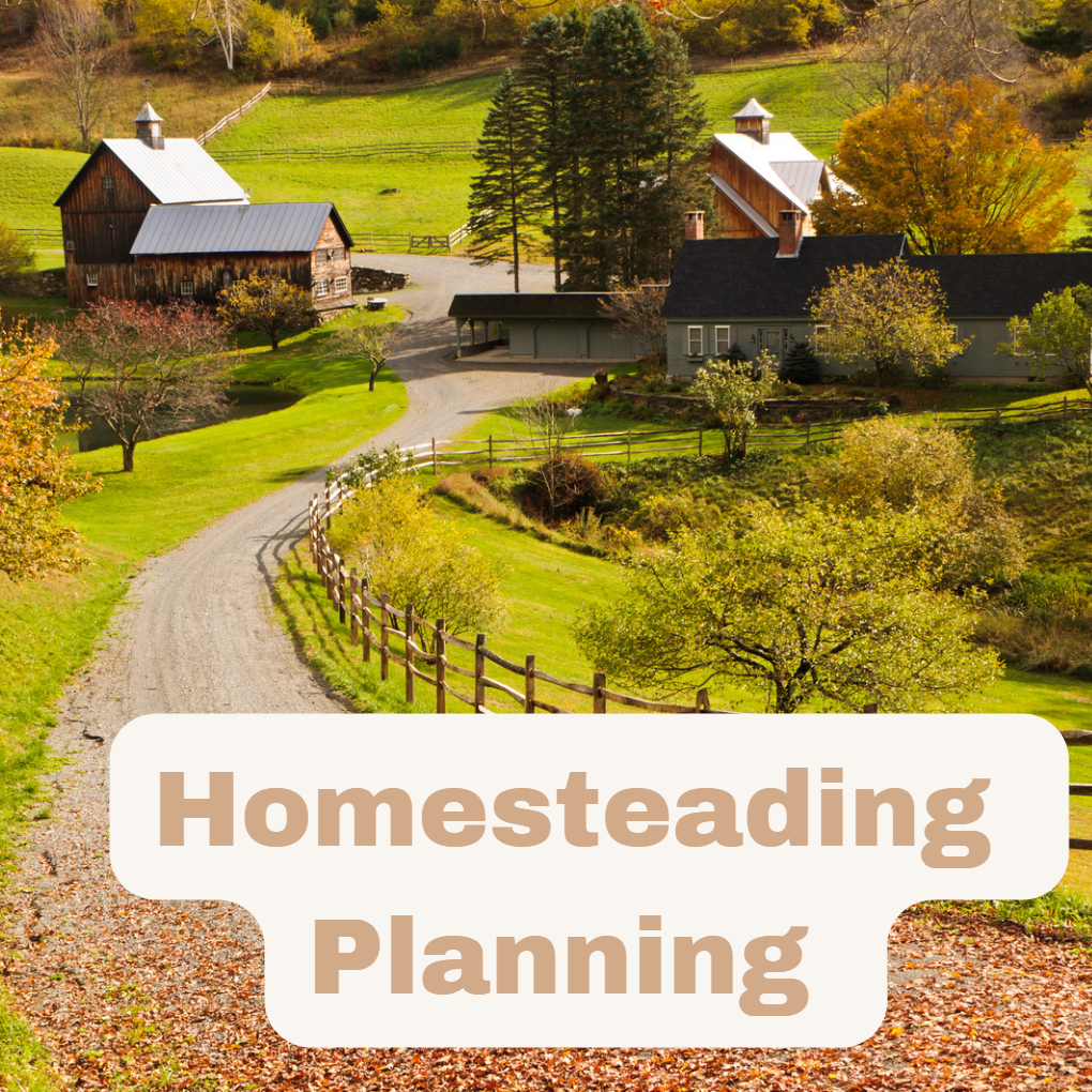 Homesteading Planning, Basics, and Tips: A Beginner's Guide