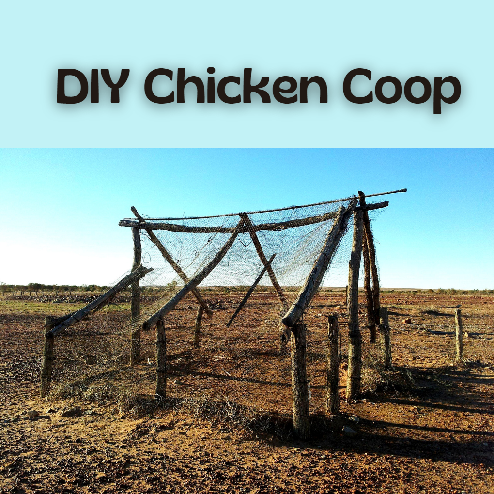 DIY Chicken Coop: Easy Plans for Building a Homemade Homestead Chicken Coop