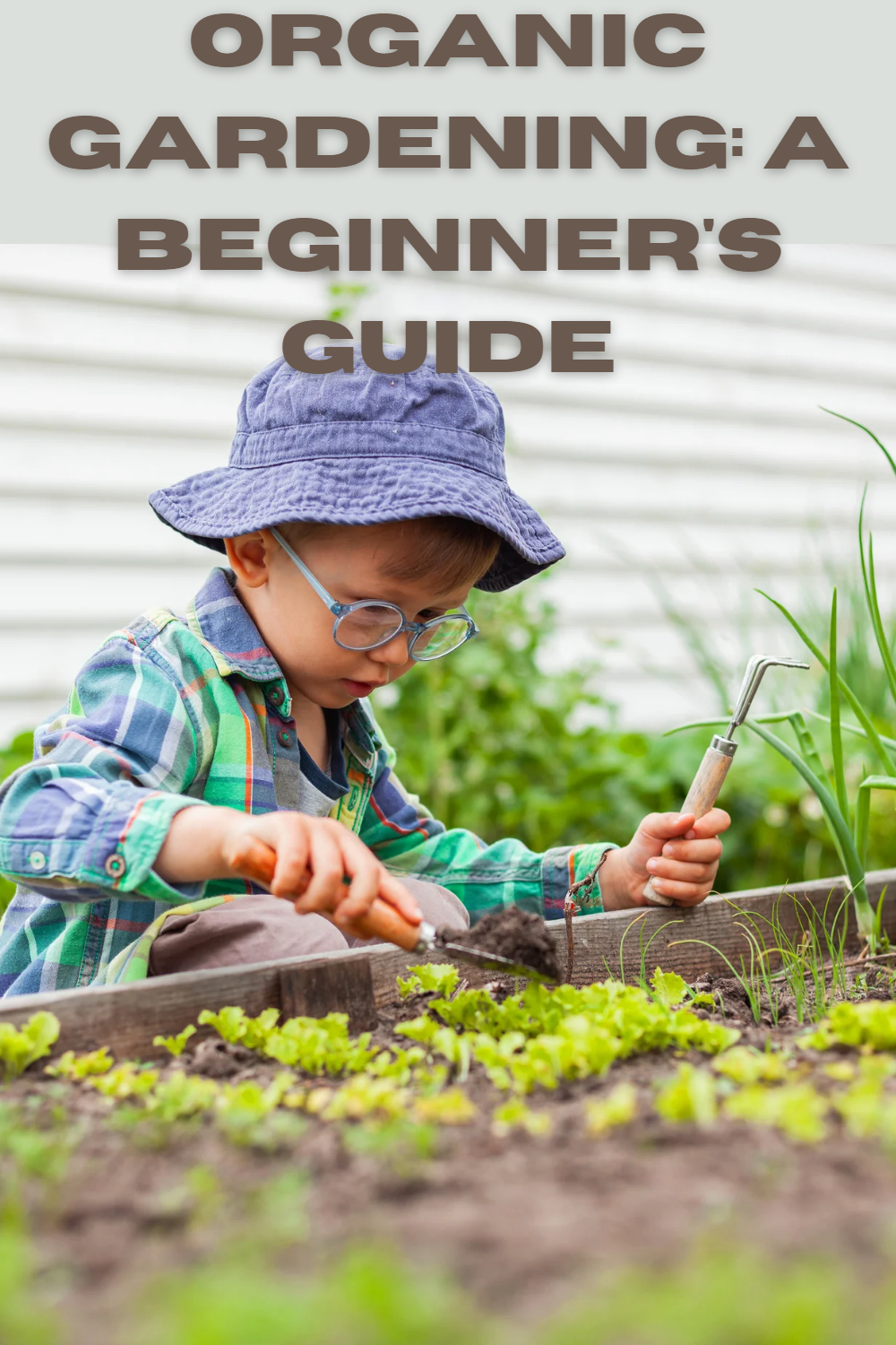 Organic Gardening: A Beginner's Guide