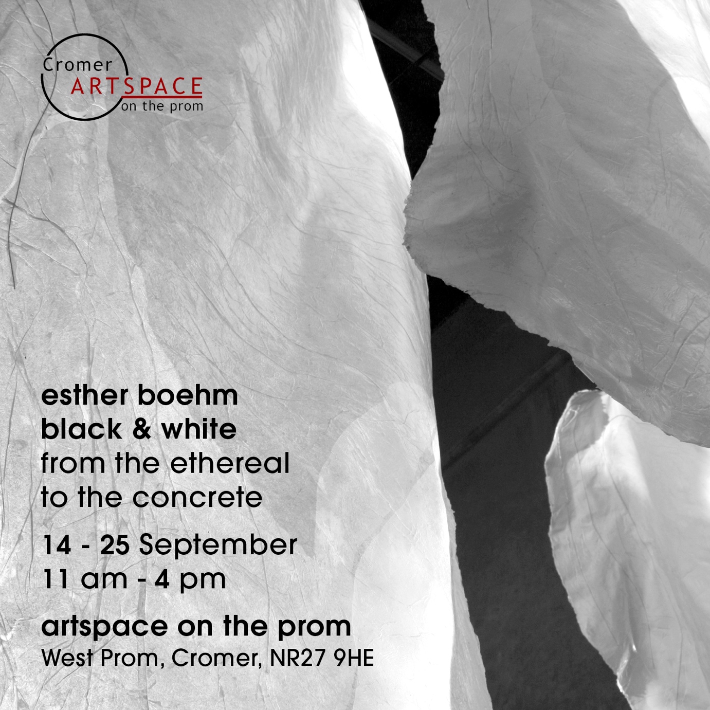 Black and White: From the Ethereal to the Concrete, Esther Boehm