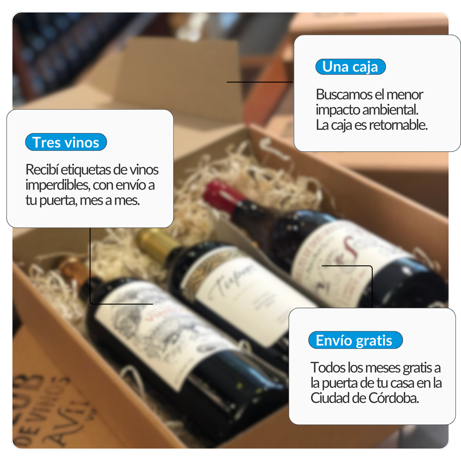 tres vinos en una caja