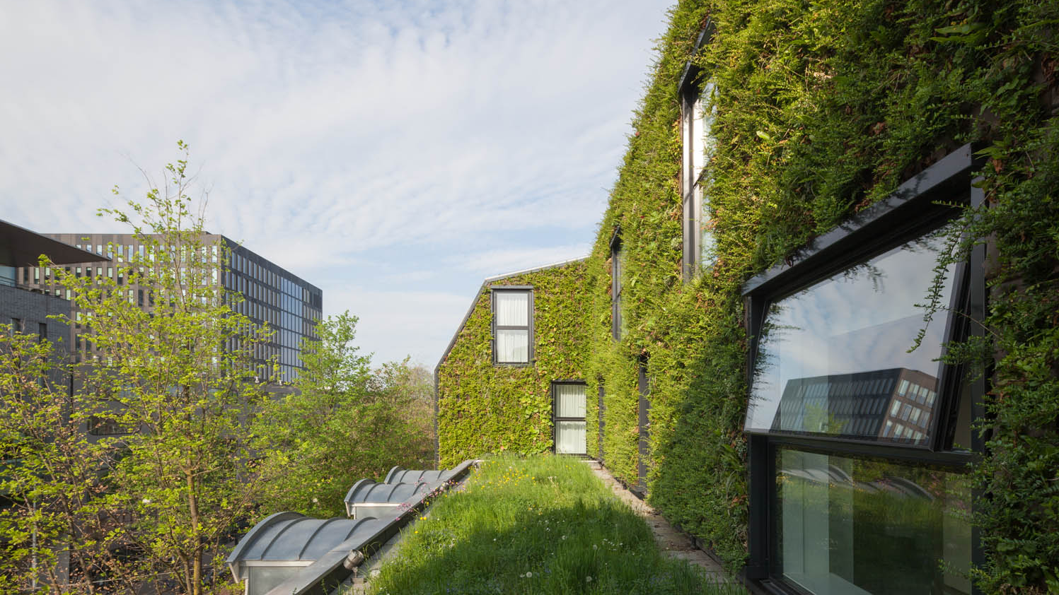 Image green roof and wall