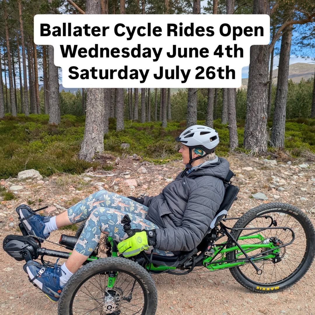 adaptive mtb rider , bike