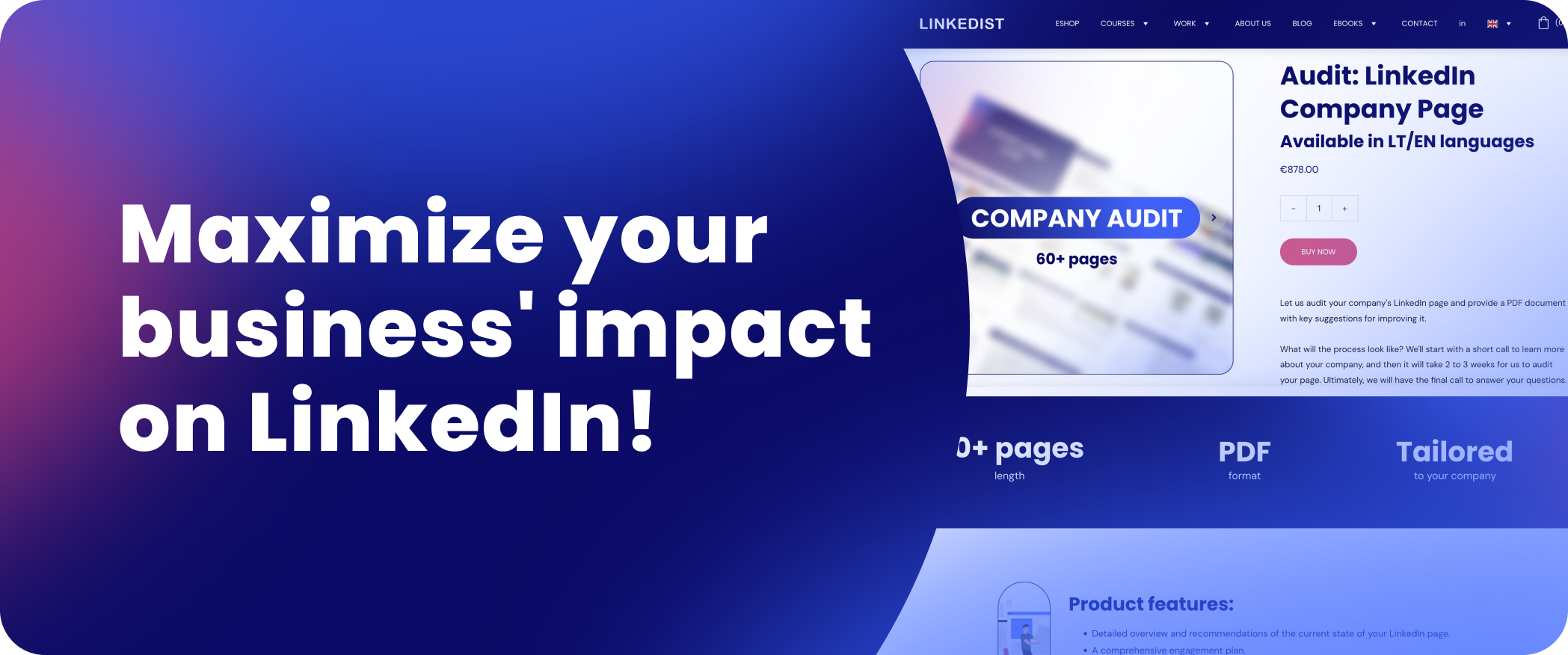 Audit Promo Banner