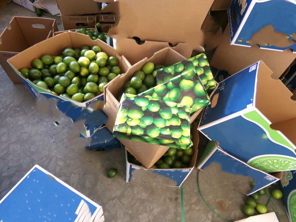 Lime Shipment Results In $3 Million In Cocaine Seized