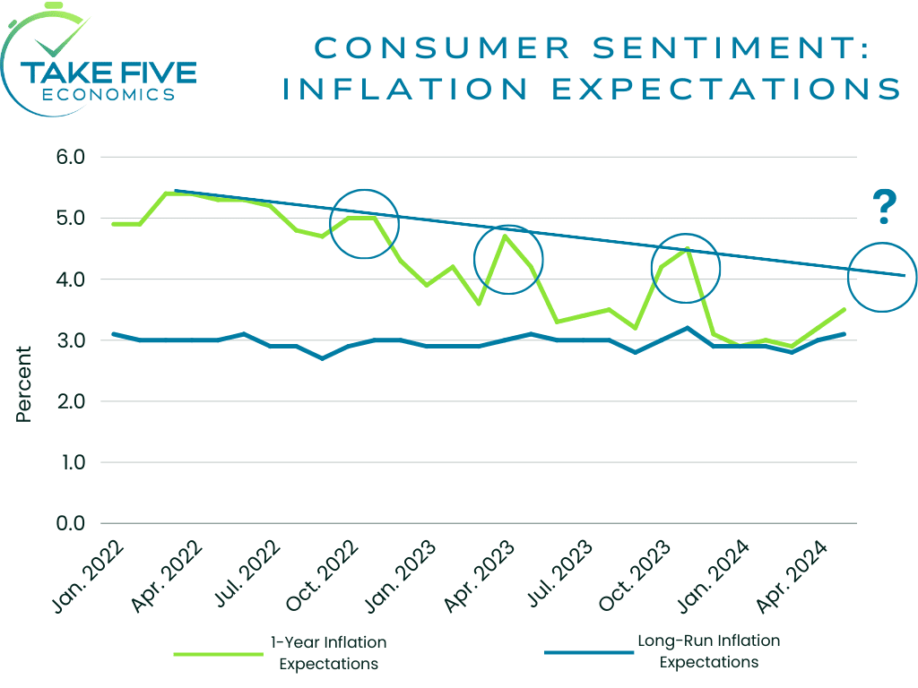 consumer sentiment inflation expectations chart showing comparison to the VIX, January 2022 to April 2024, Take Five Economics chart