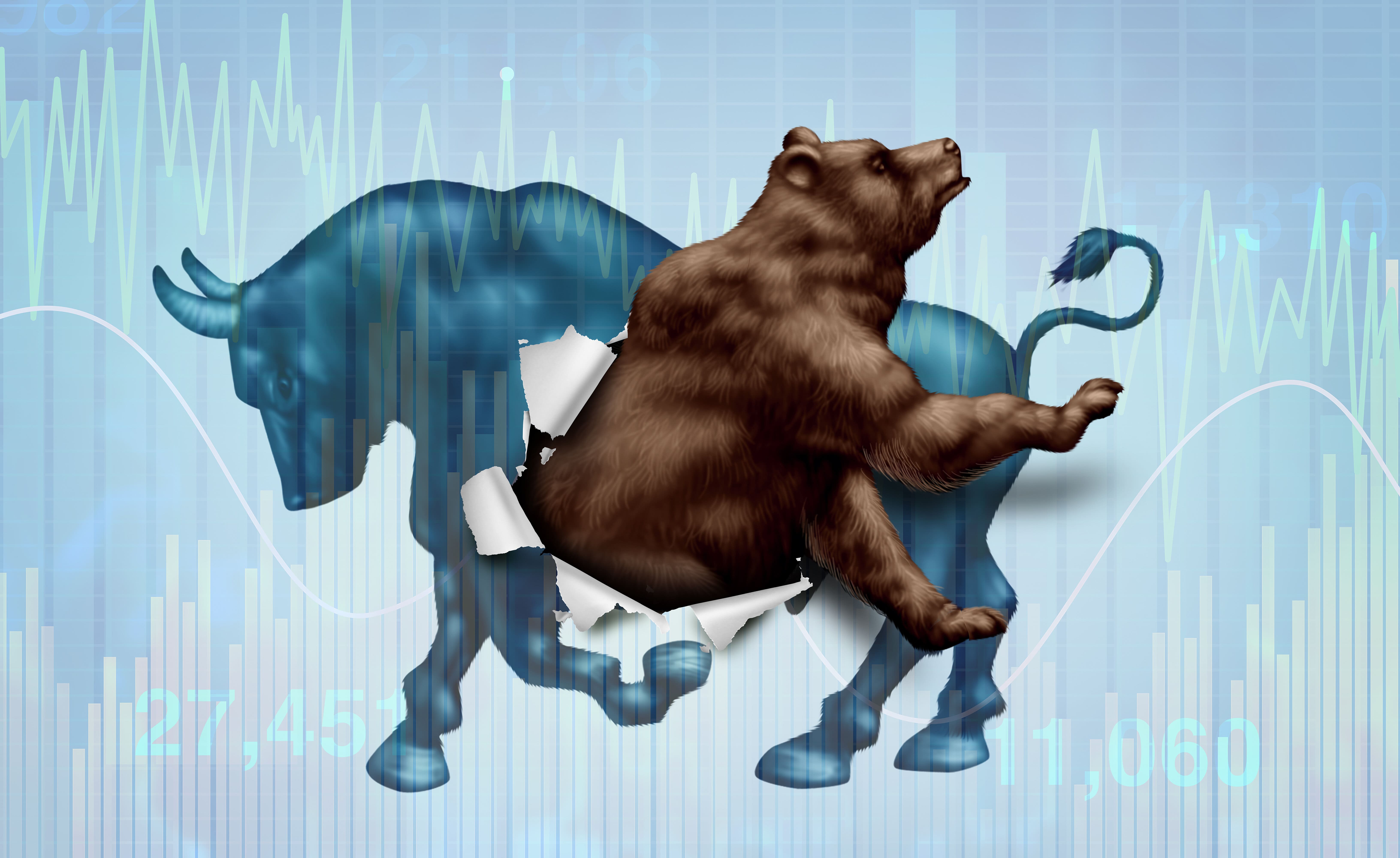 Emerging Bear market correction concept with a bull and bearish stock market as a metaphor for change in investing sentiment and markets headed towards negative territory.