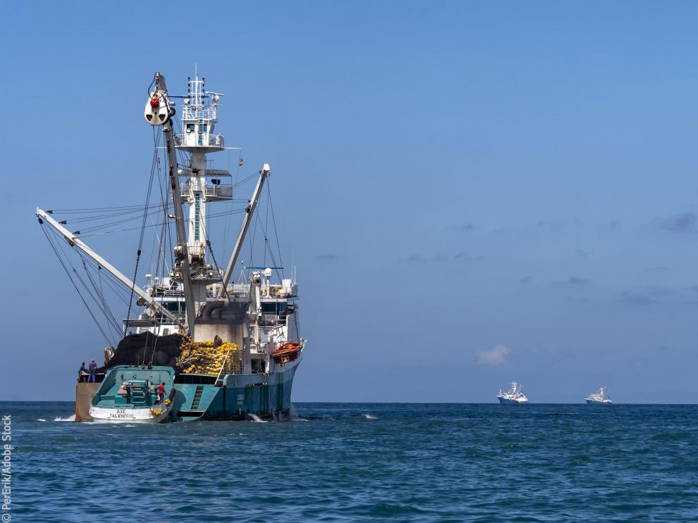Source: Global Fishing Watch
