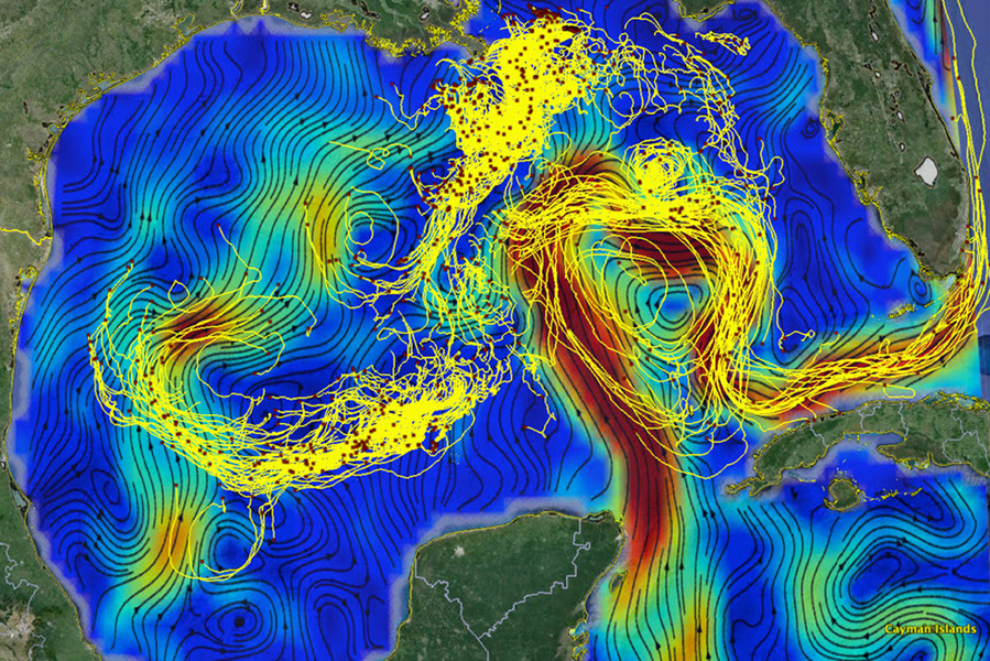 Source: Global Fishing Watch
