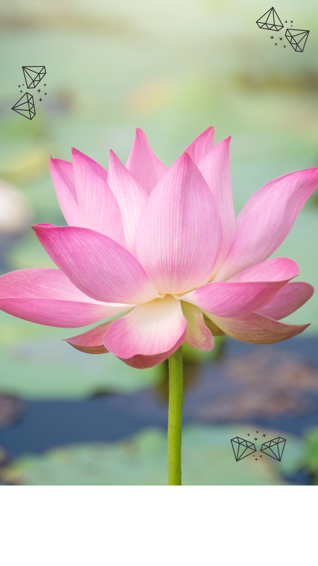 Il risveglio del guerriero