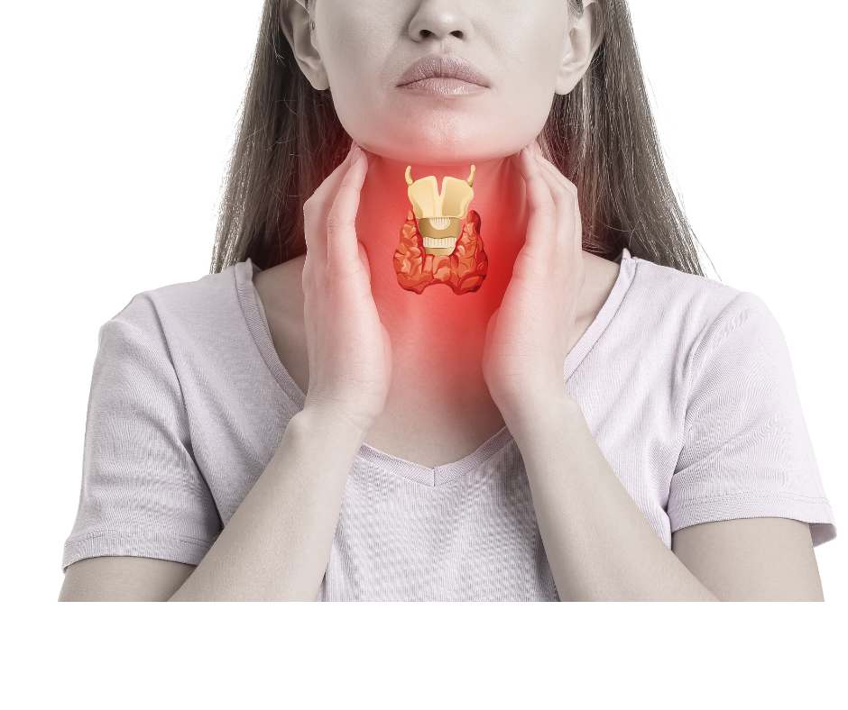 Menopause? or Thyroid?  Are you being treated for the right condition?