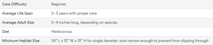 dwarf hamster characteristics