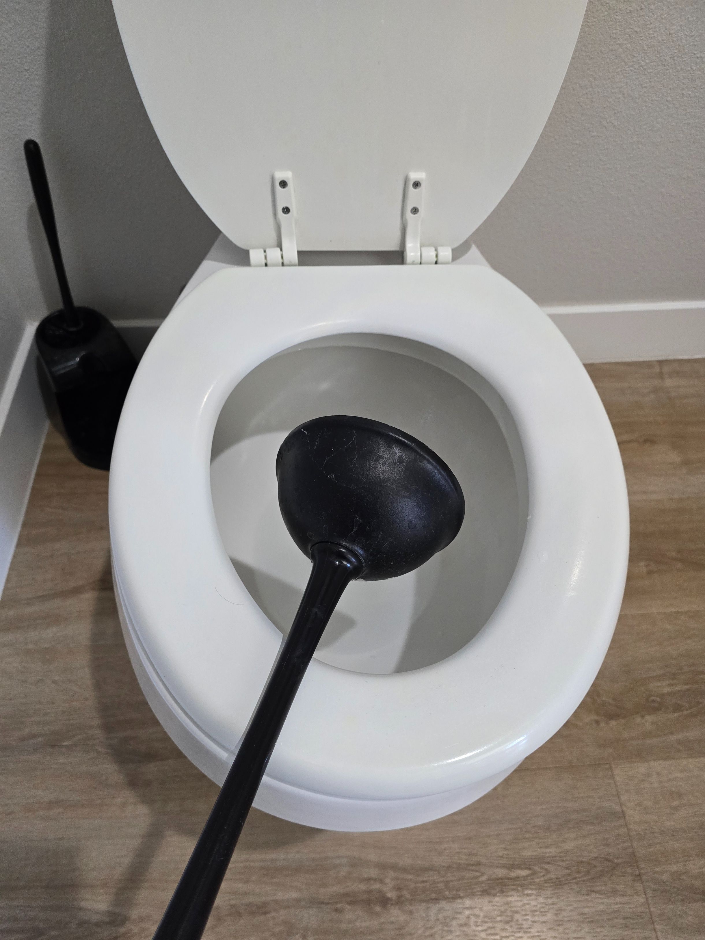 Choosing The Right Plunger for The Right Job