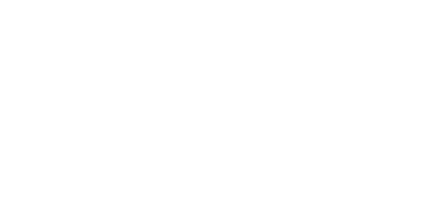 Dream Catch Consulting logo