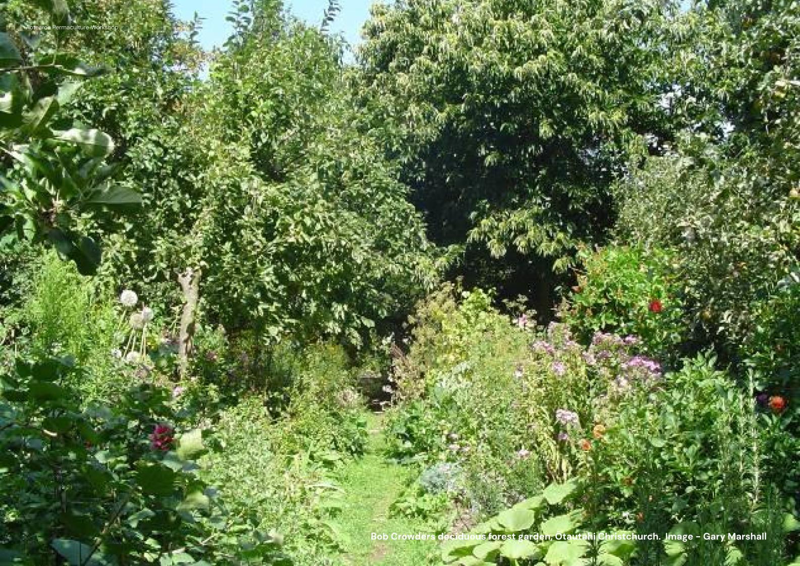 Cultivating Resilient Food Systems: A Practical Guide to Forest Gardening in Aotearoa