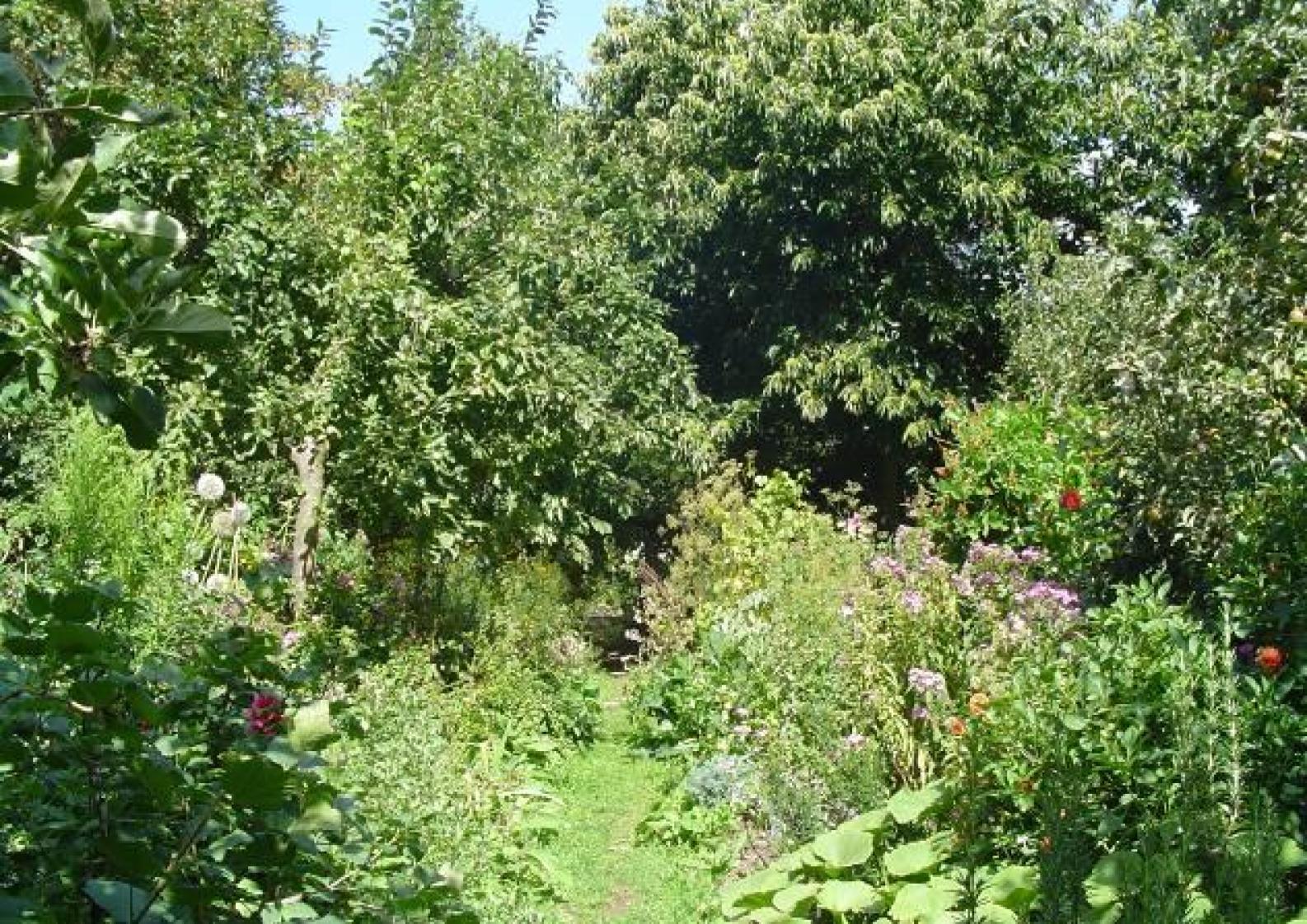 Cultivating Resilient Food Systems: A Practical Guide to Forest Gardening in Aotearoa - Part 1 - Food Systems and Social Change