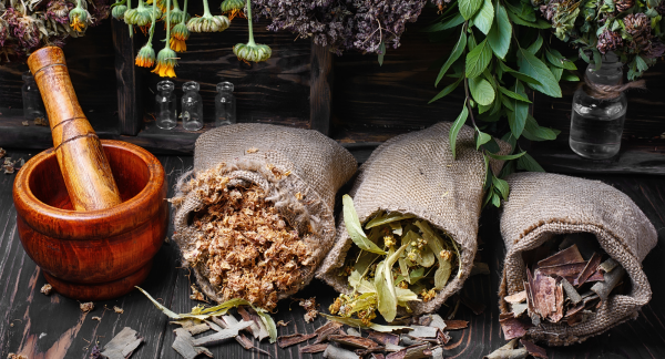 Exploring Herbalism: Unveiling the Secrets of Botanical Healing