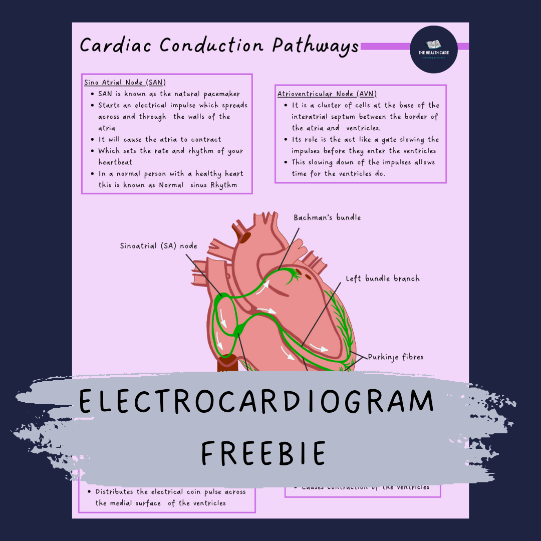 electrocardiogram-guide