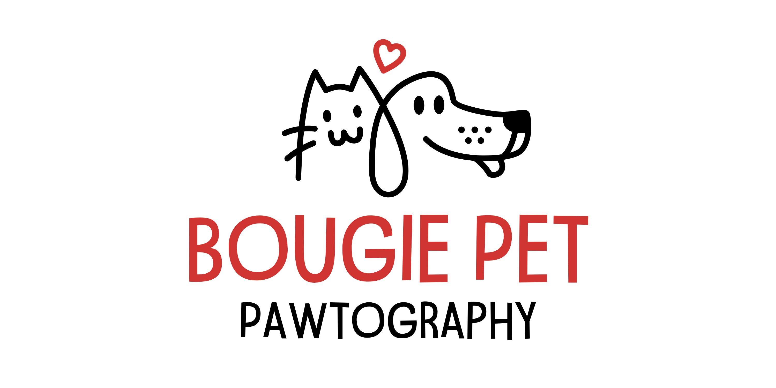 Bougie Pet Pawtography