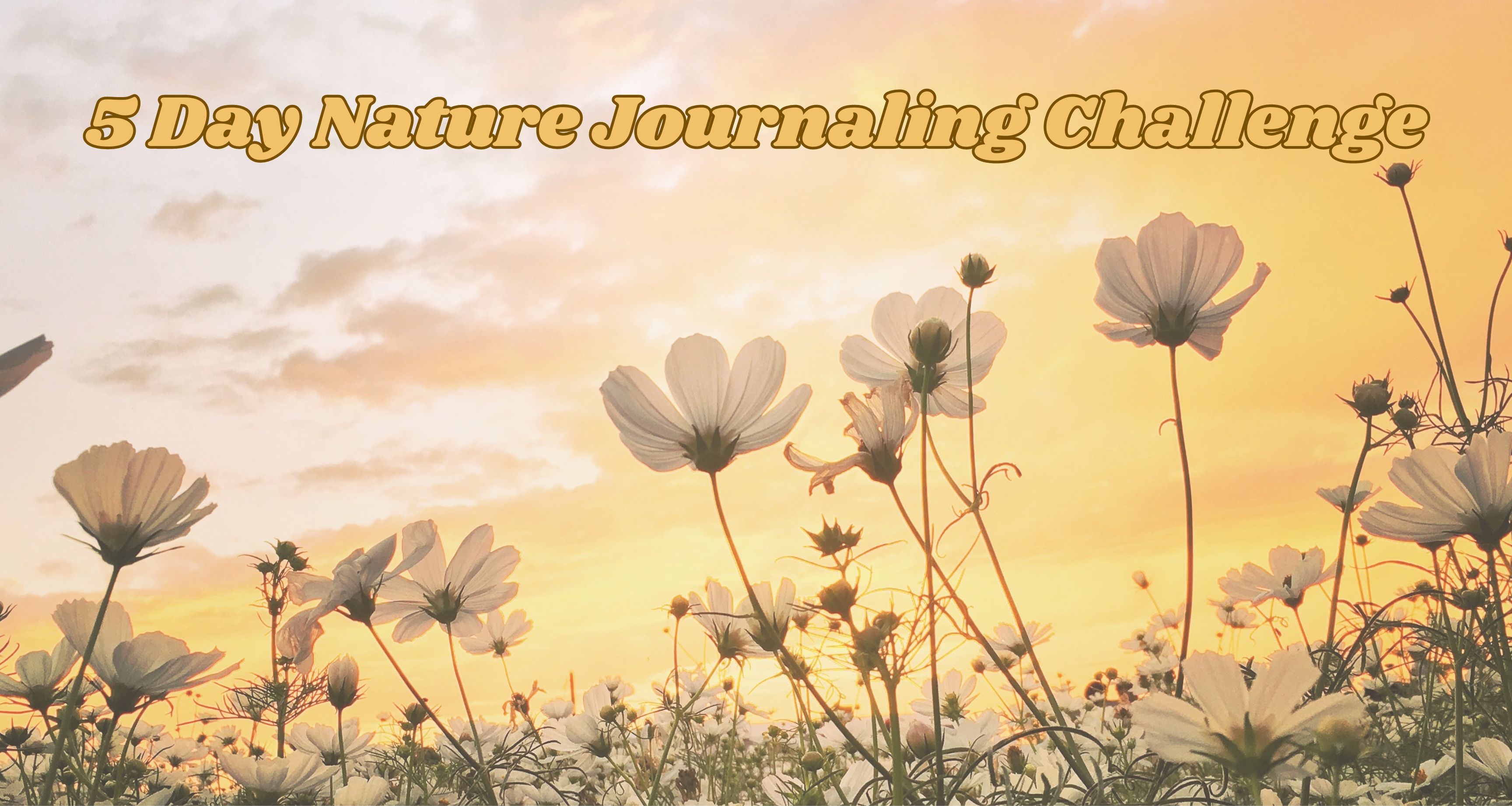 5 Day nature Journaling Challenge