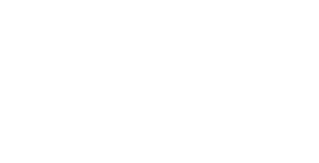 AFEM Logo