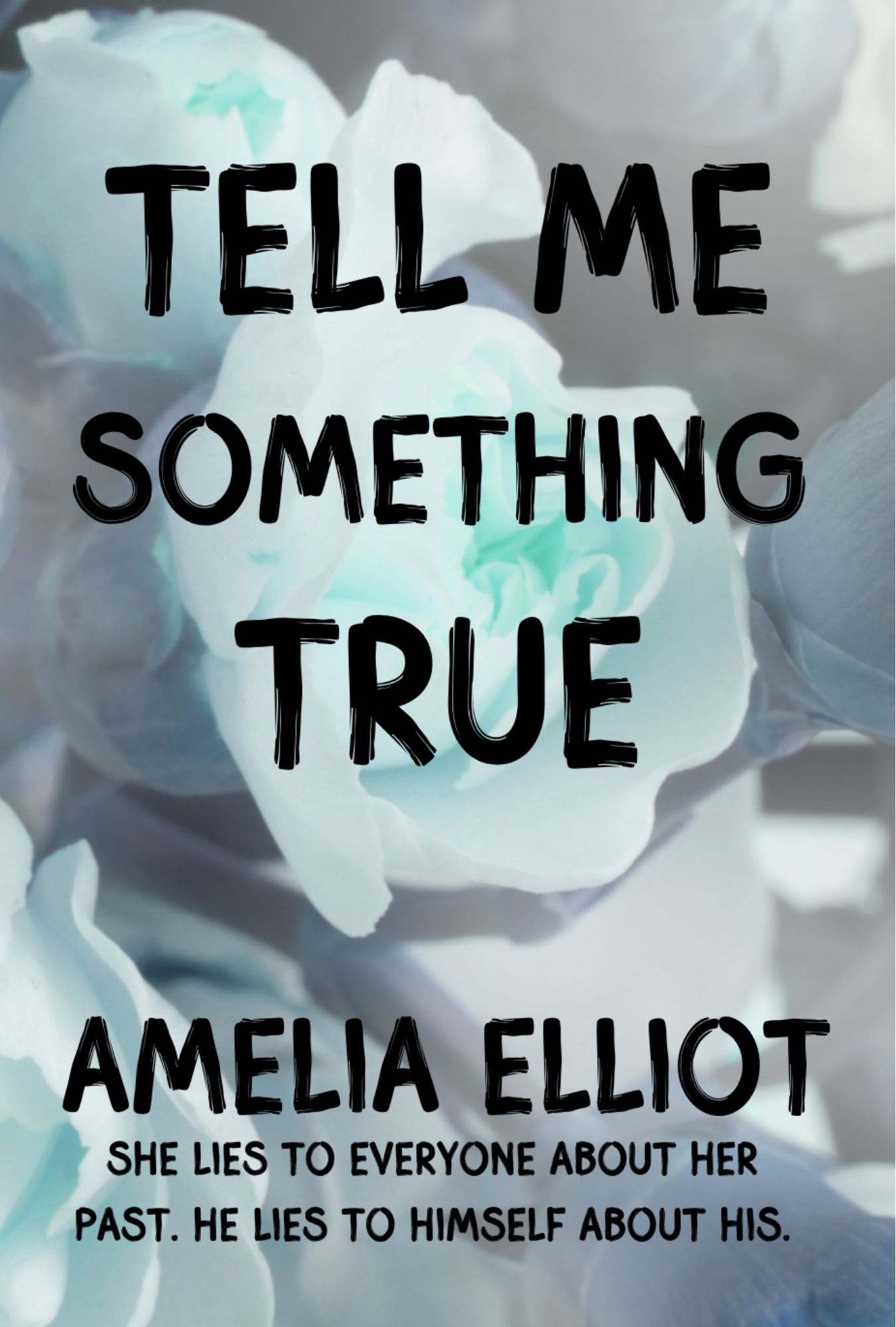 Cover of Tell Me Something True by Amelia Elliot, contemporary romance about reinvention and truth