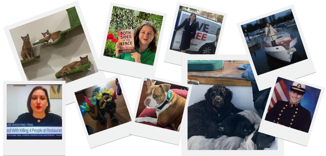 Polaroid collage of Amelia’s life—cats on wall shelves, Amelia holding her book, a campaign photo, sailing shot, TV interview screenshot, two dogs, a black cat, and a dress-blues uniform portrait.