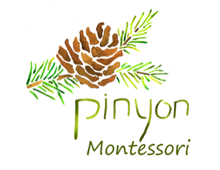 🏵️Rooted in Growth: Celebrating Our Journey and Future