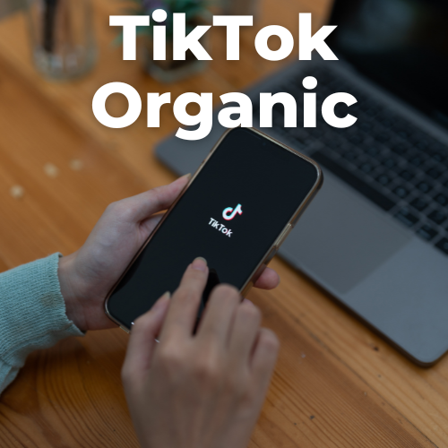 Unleashing the Power of TikTok Organic