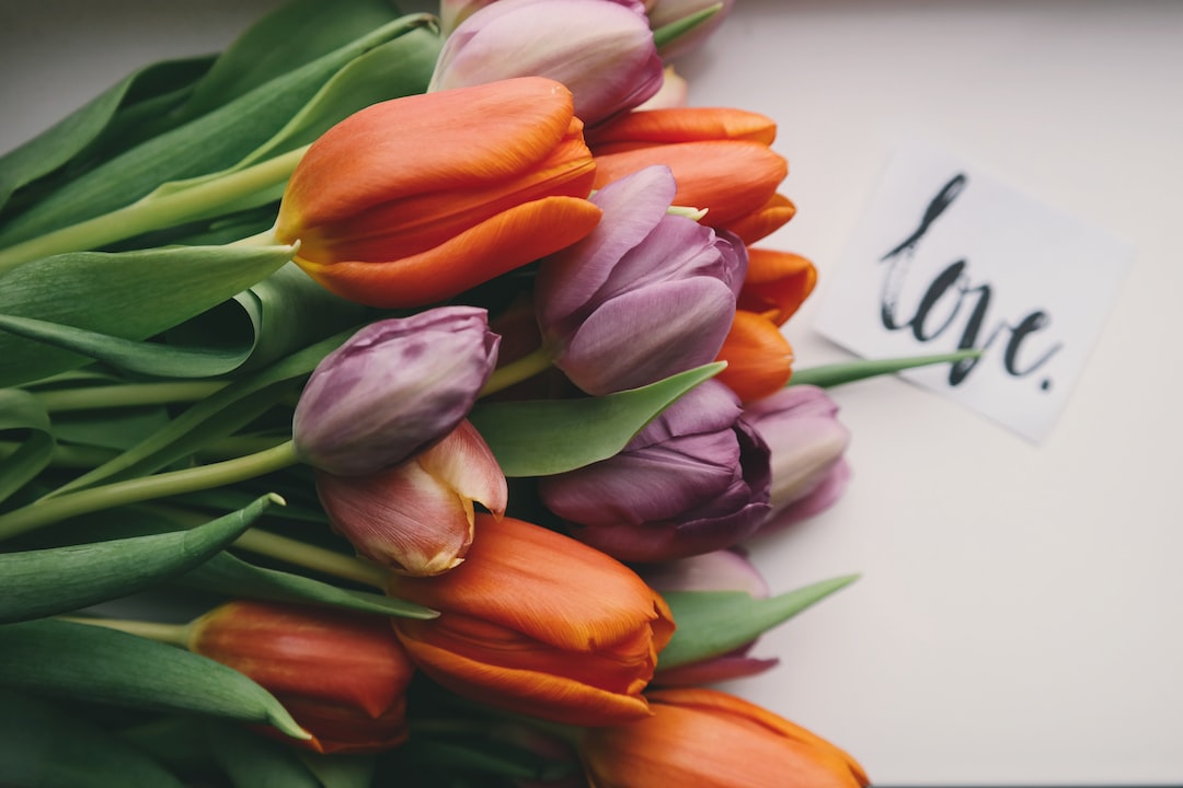 Unforgettable Love Stories: A Dive into the Romance Genre