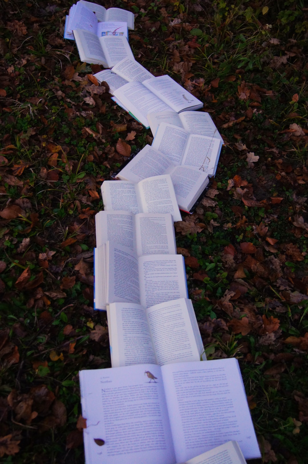 Genre-Hopping Excellence: The Best Books in Every Literary Category