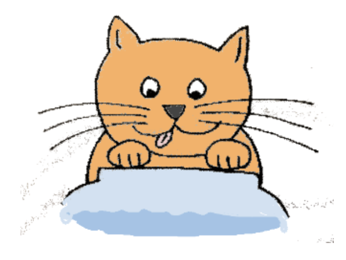 A cat looking for food