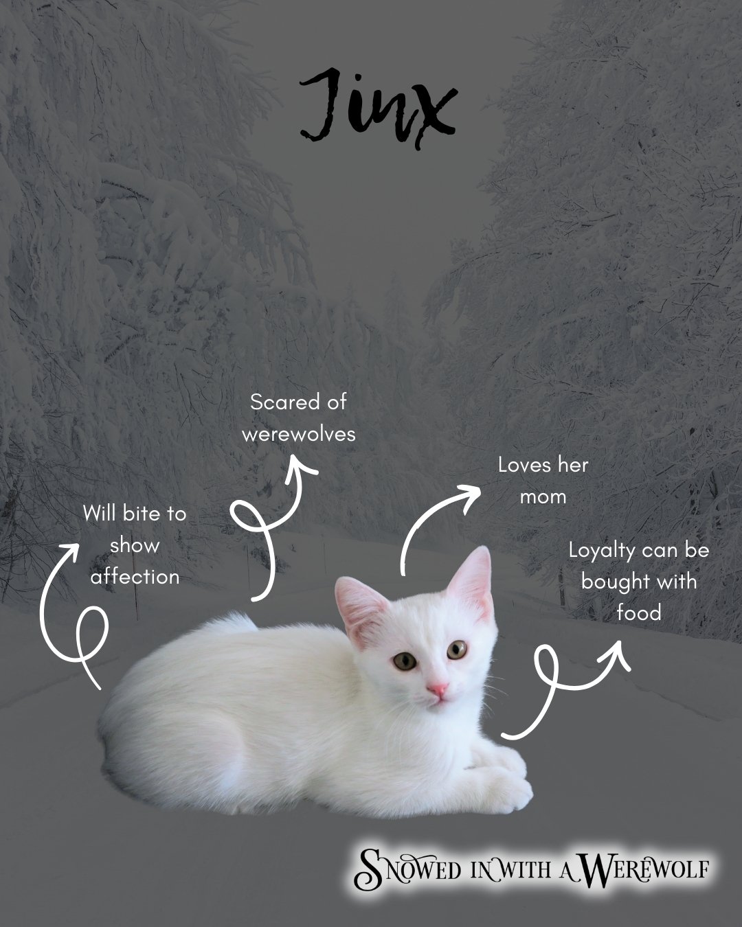 An image of a white cat labelled Jinx. It lists characteristics like will bite to show affection, scared of werewolves, loves her mom, loyalty can be bought with food