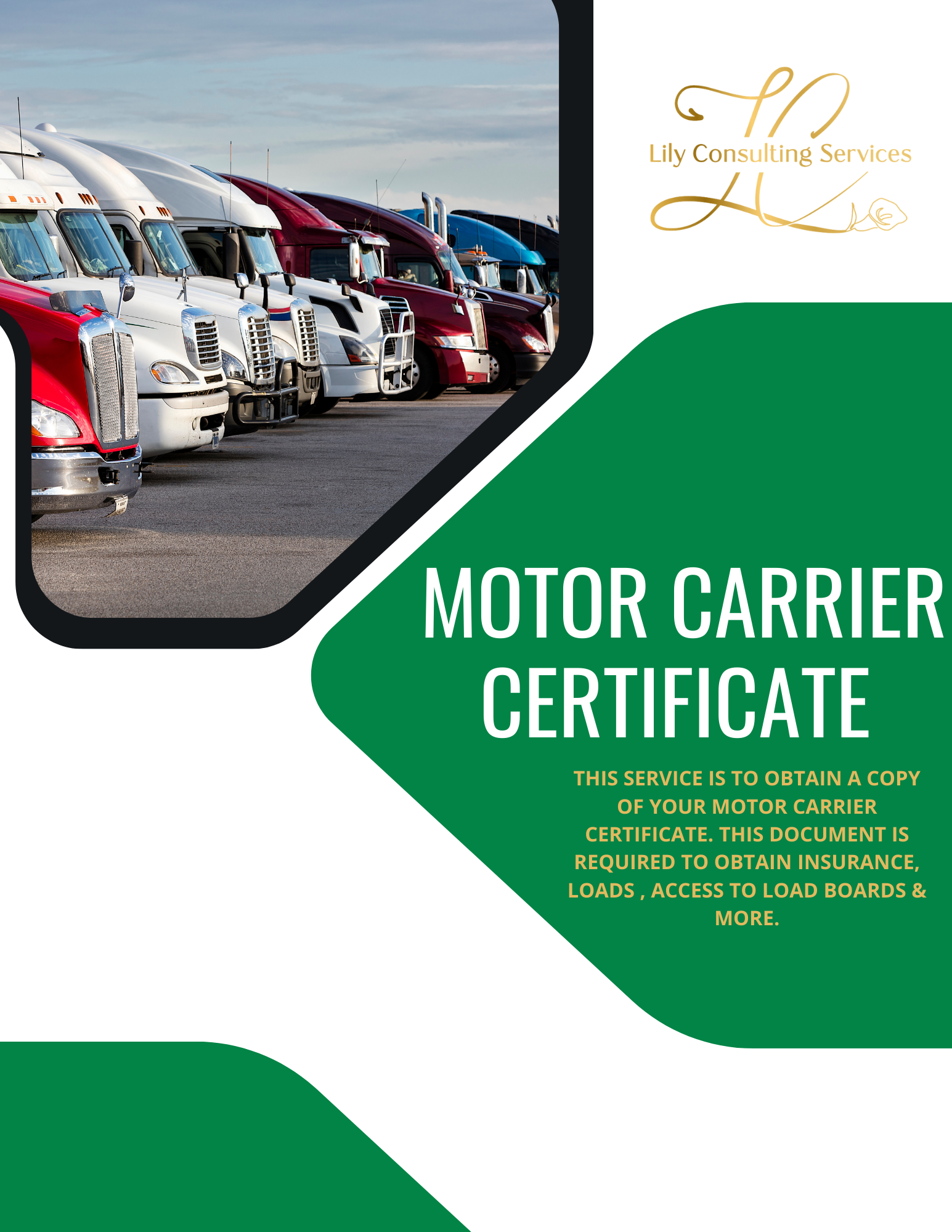 Lily Consulting Services