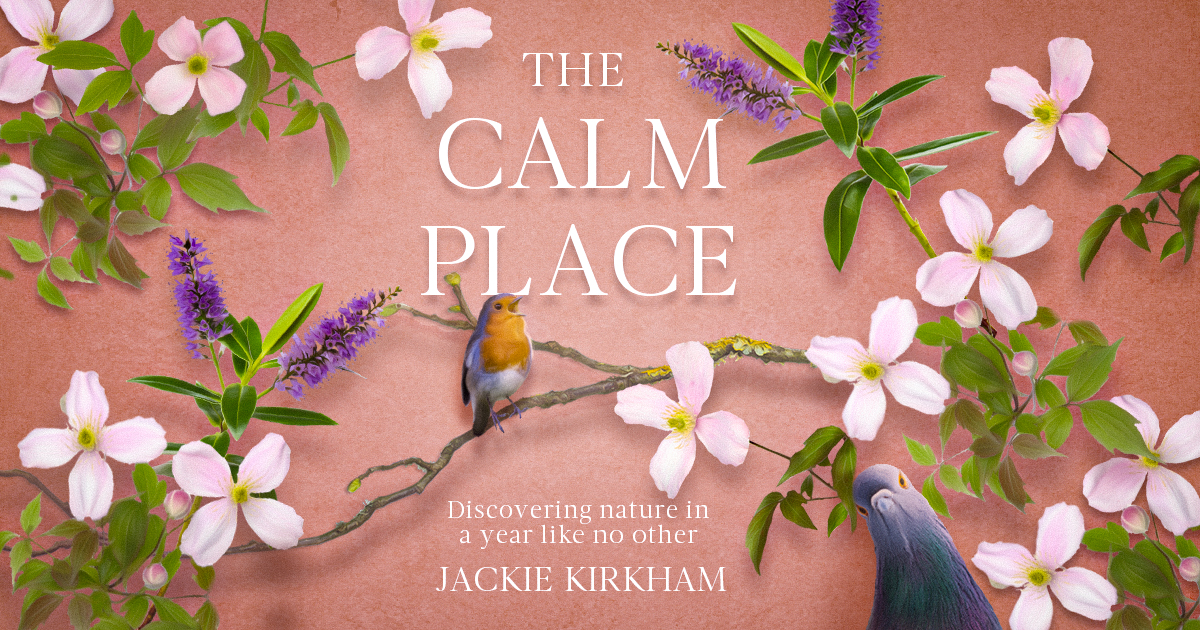 cover imaging from The Calm Place by Jackie Kirkham. Features clematis, hebe, a singing robin and a curious pigeon on a rose-pink background.