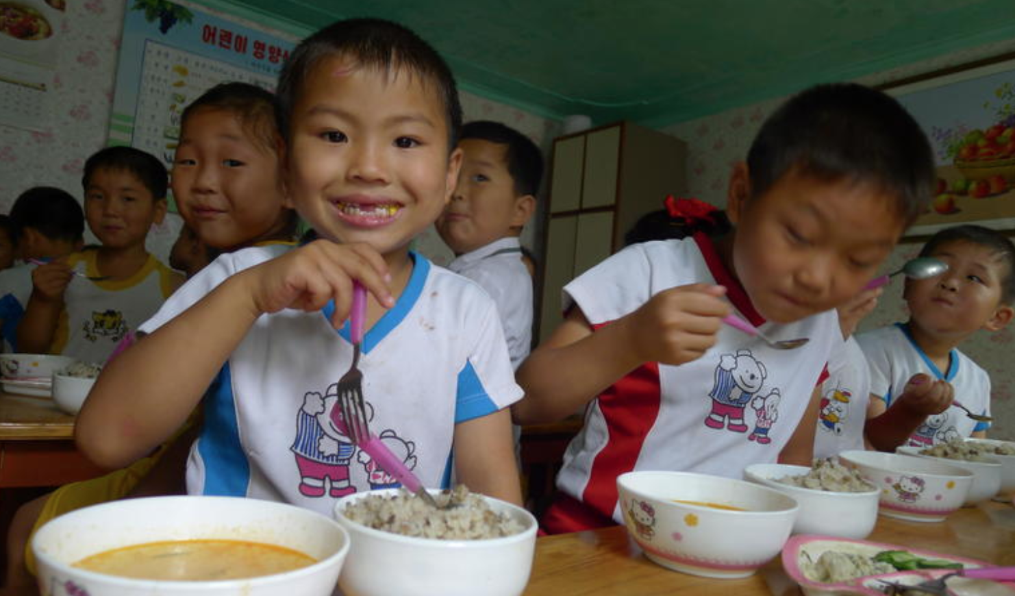 Humanitarian Projects