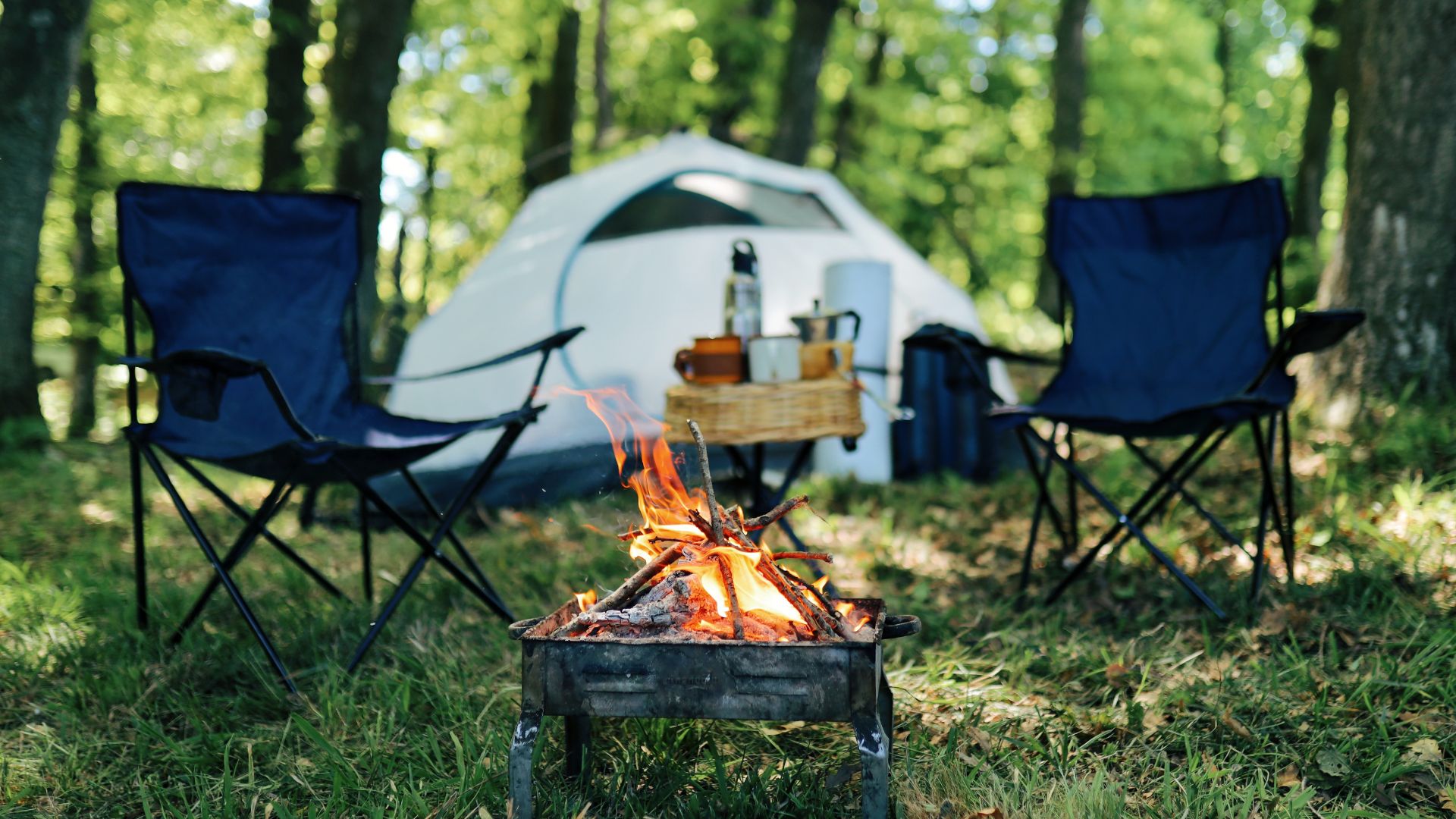 10 Delicious Camping Dinner Ideas + bonus 16 essentials needed for your camping space