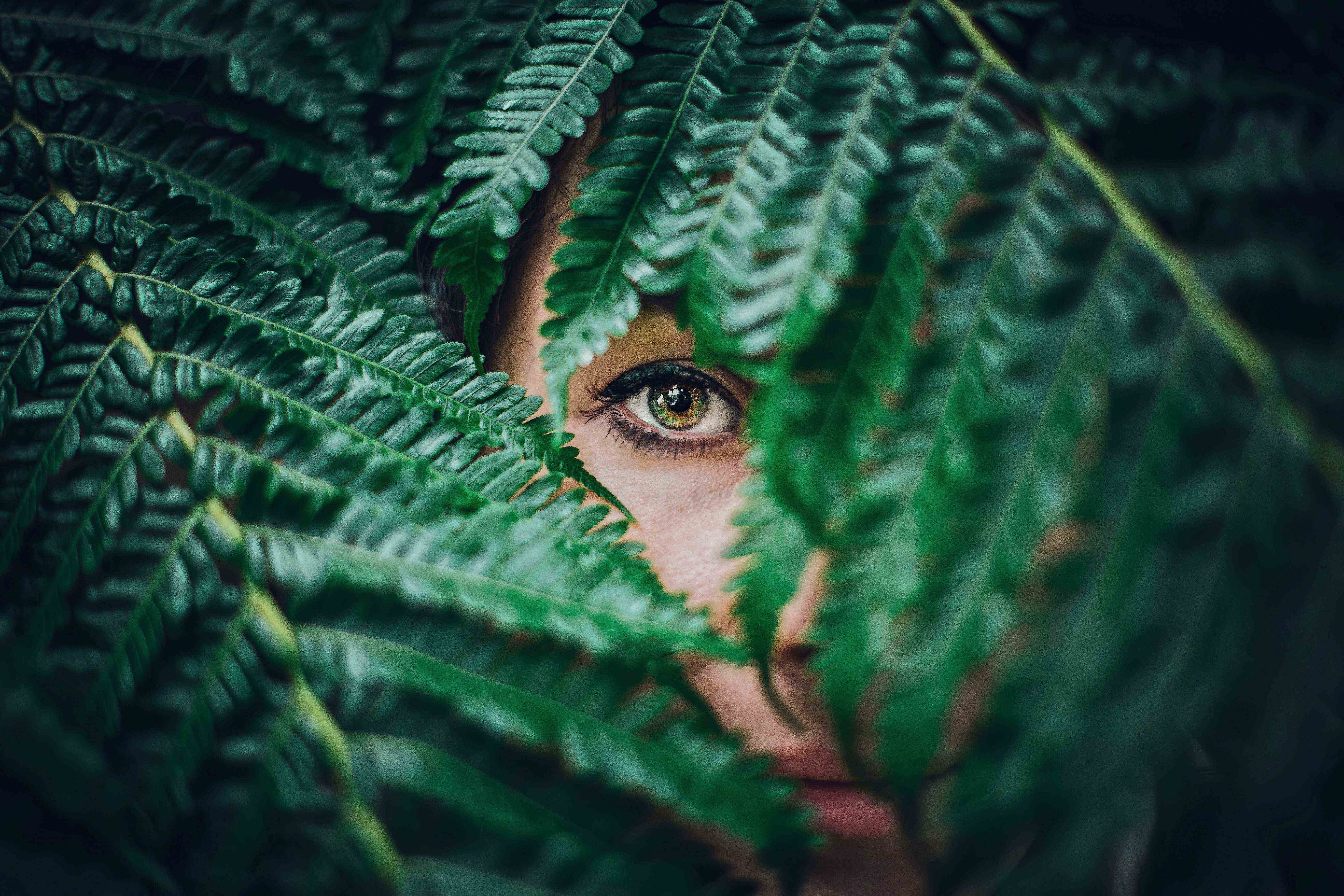 hidden woman wanting to know God looks out with one green eye from behind fern leaves