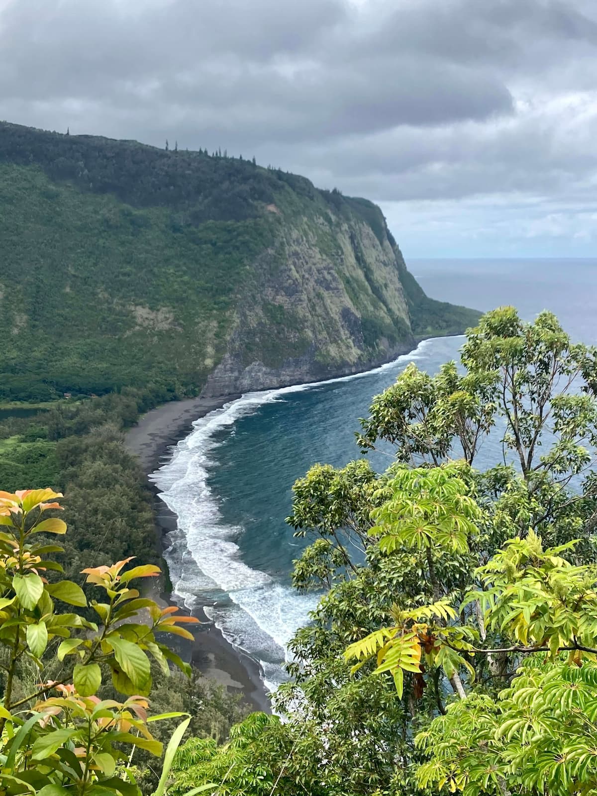 Top-of-the-ridge view of Waipio Valley on the Big Island of Hawaii