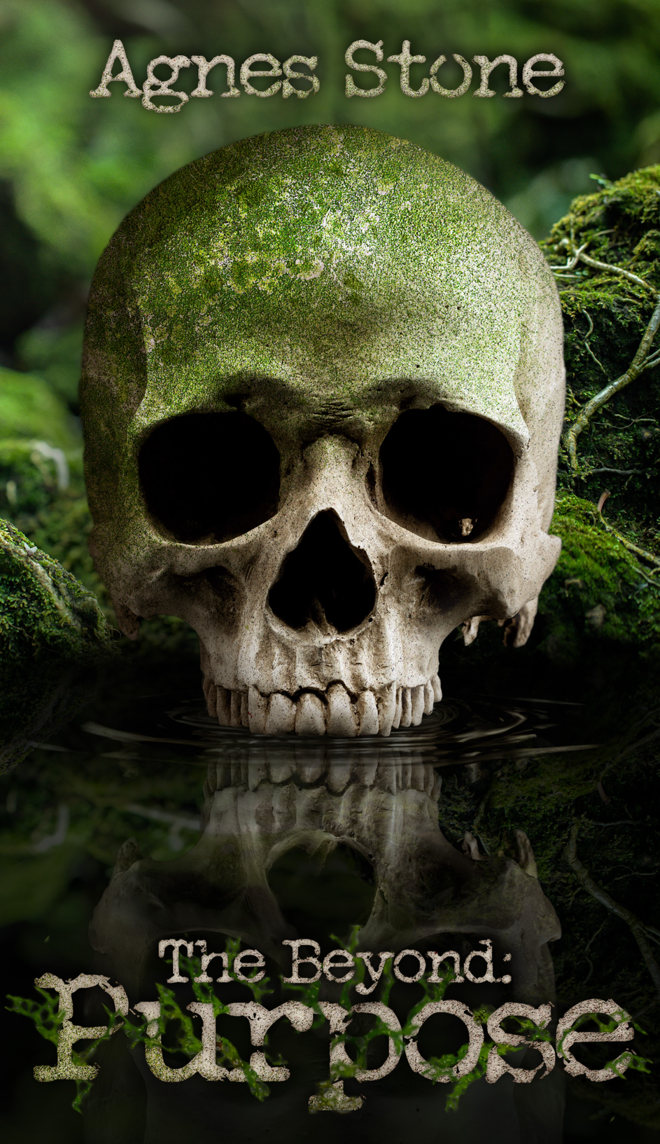 The Beyond: Purpose book cover, skull in puddle